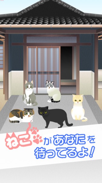 可爱猫咪满满2手机版