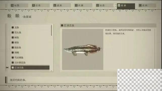 尼尔机械纪元钓鱼指南及图鉴分享图11