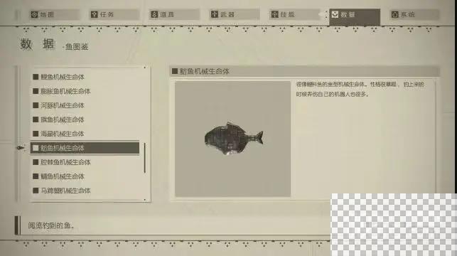 尼尔机械纪元钓鱼指南及图鉴分享图31