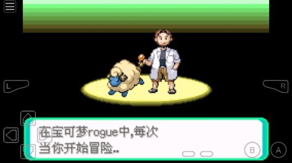 口袋妖怪Rogue汉化版图3