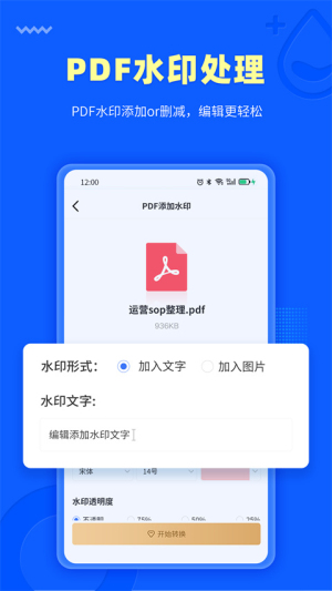 转转大师PDF转化器