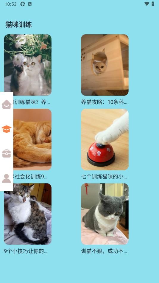 密聊猫咪安卓版