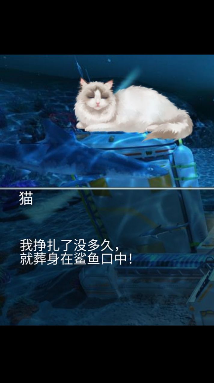 猫生煎熬官方手机版