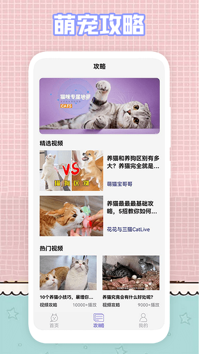 我的猫咪萌宠壁纸安卓版