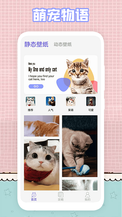 我的猫咪萌宠壁纸安卓版