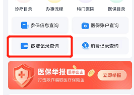湘医保在哪查看缴费记录 湘医保缴费记录查询教程一览图2