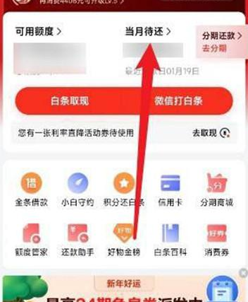 京东白条如何对当月账单进行还款 京东白条账单还款教程一览图3