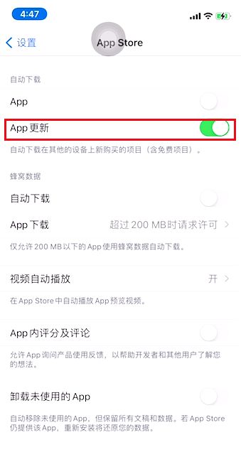 iPhone15如何关闭软件自动更新 iPhone15禁止软件自动更新设置教程分享图2