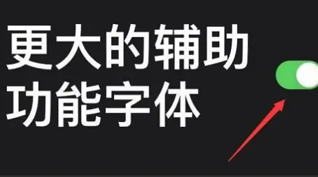 苹果15如何将字体放大 苹果15字体辅助功能开启方法一览图5