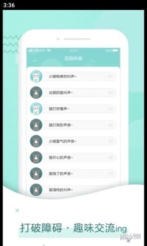 宠猫翻译手机版