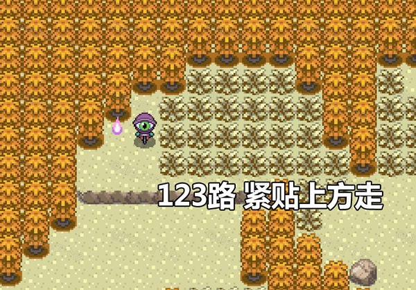 Pokemmo2023万圣节丰源区域全鬼火分布位置图12