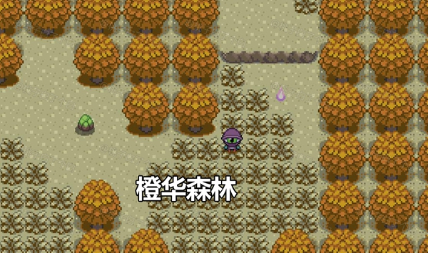 Pokemmo2023万圣节丰源区域全鬼火分布位置图17