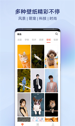 i主题vivo图3